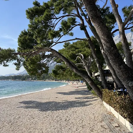Apartment Patrik Makarska With Saltwater Pool Makarska